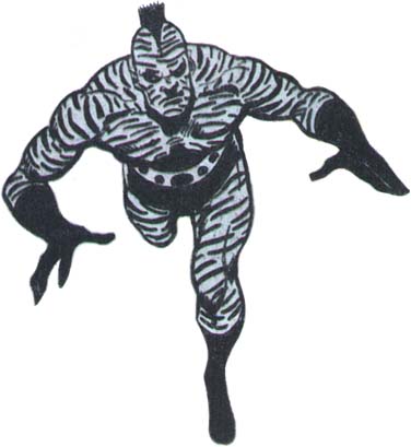 Zebra-Man